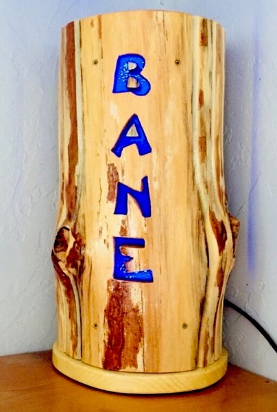 In Memory of K9 Bane Phoenix PD